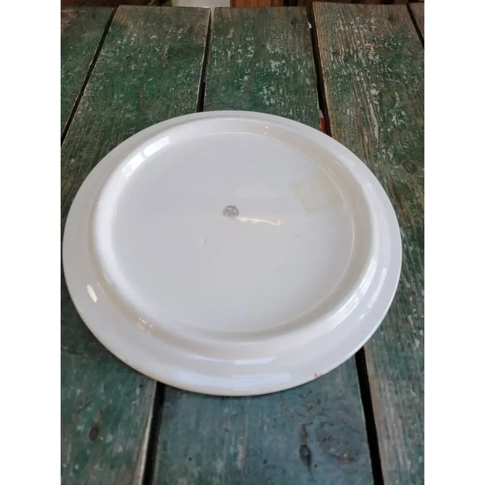 Vintage Cake Plate Hand Painted Japan Pink Blue Floral Cottagecore Platter 11.5